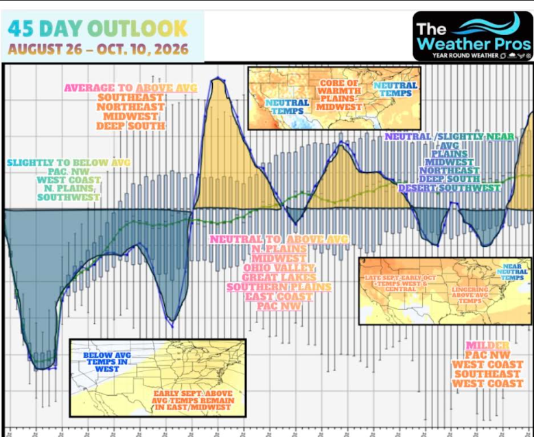 Impact Forecast