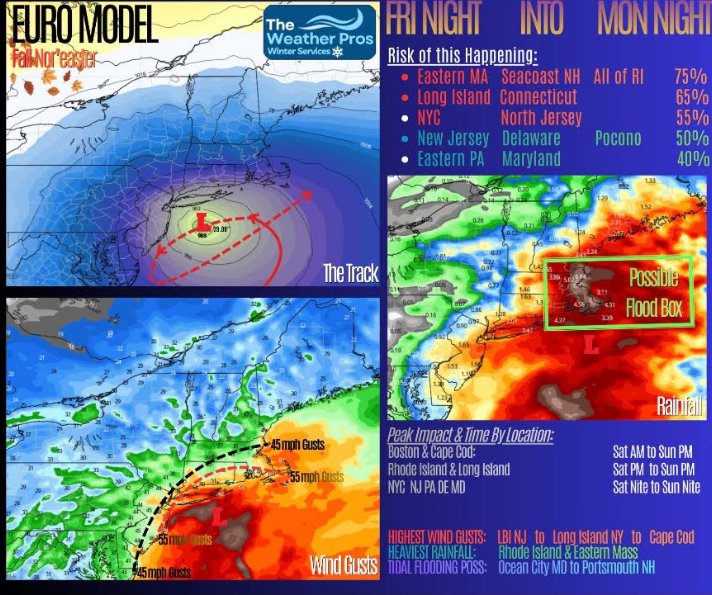 impact wx
